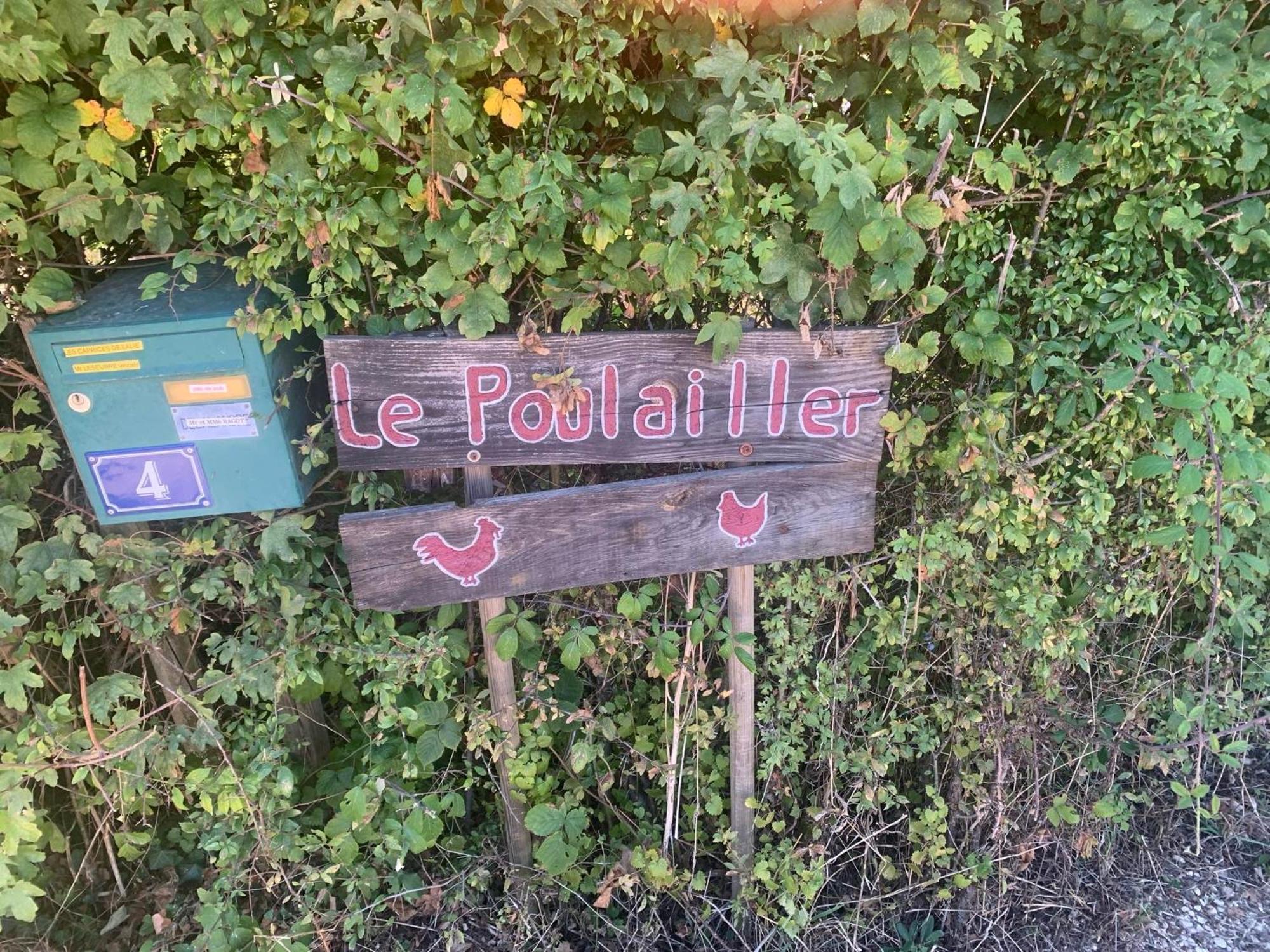 Logement Independant Le Poulailler Proche Guedelon تريجني المظهر الخارجي الصورة